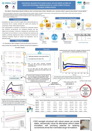 Poster Foods - Doughs.pdf